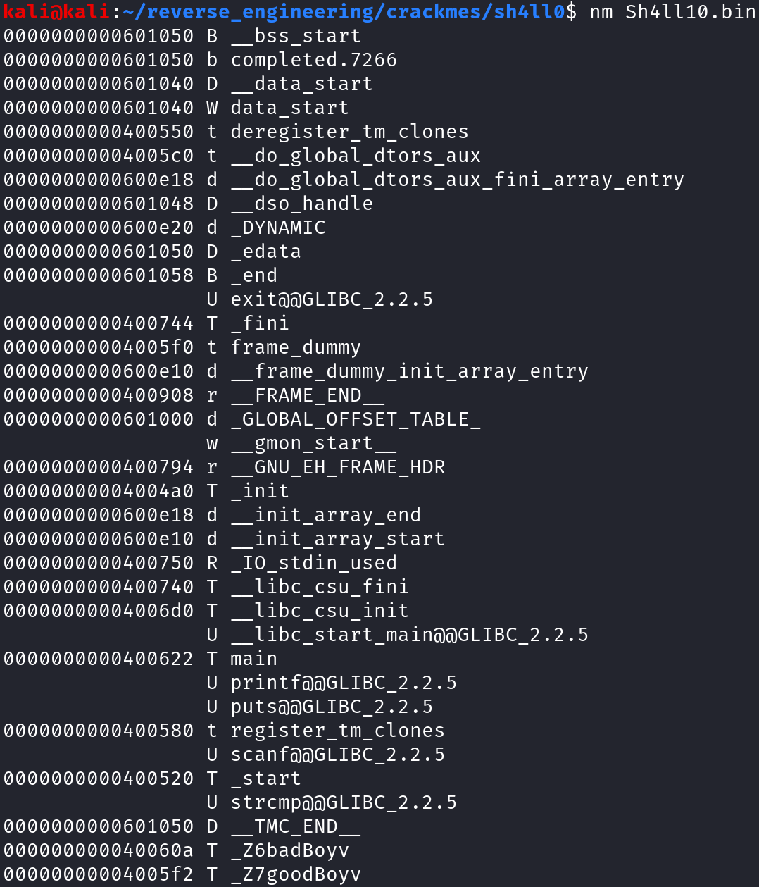 Output of nm command