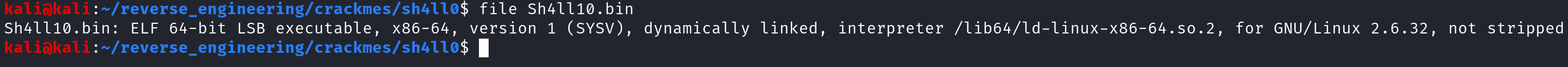 Output of file command on Sh4ll0.bin