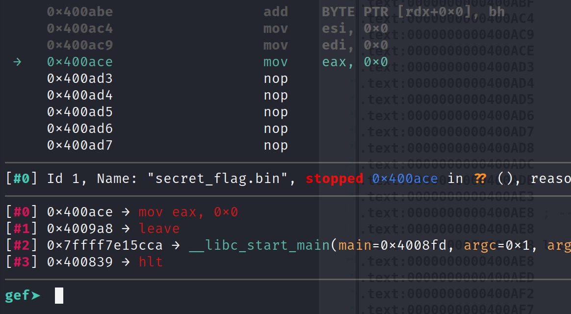 Breakpoint before NOP'd ptrace function call