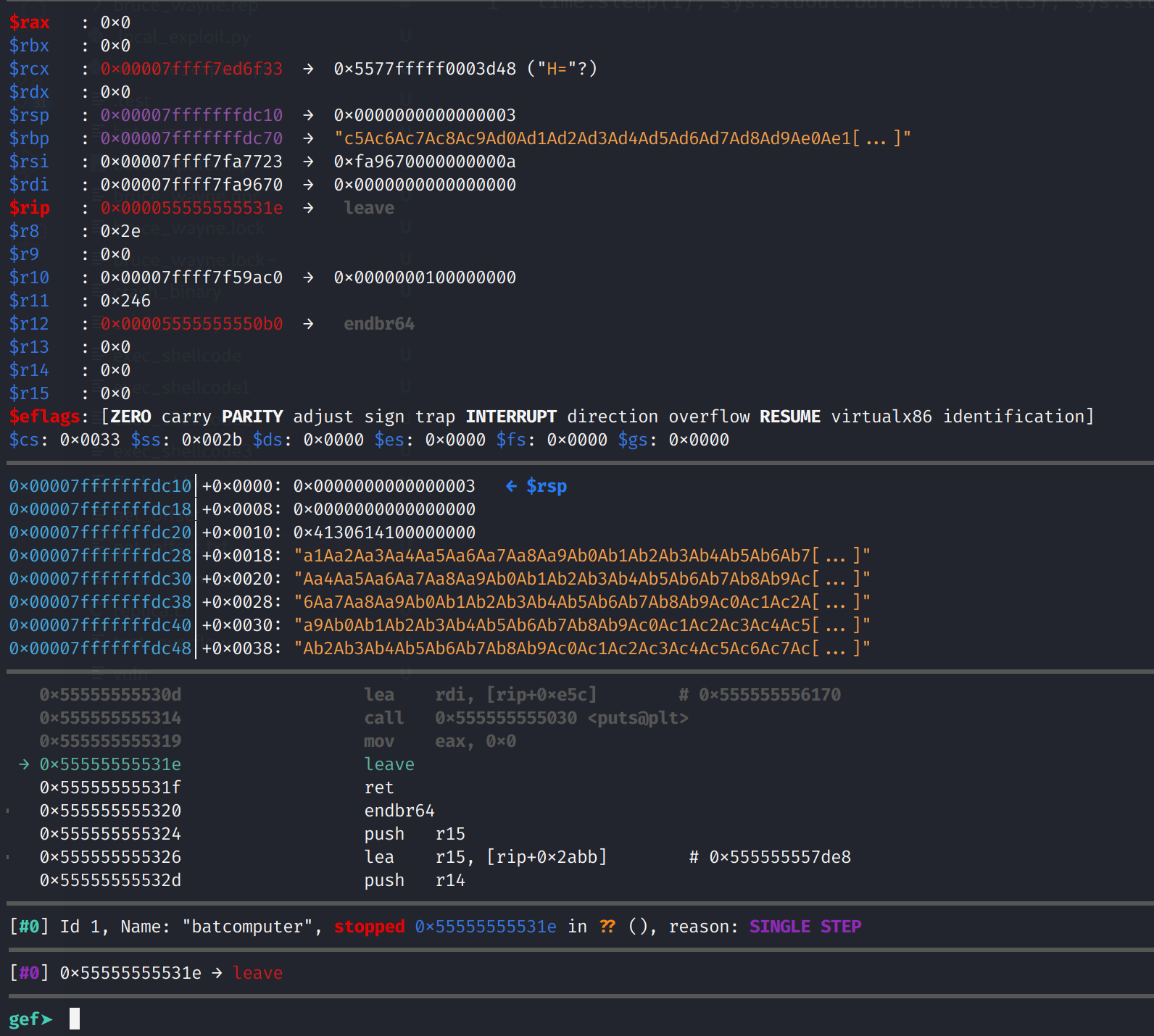 How To Exploit A Buffer Overflow Vulnerability