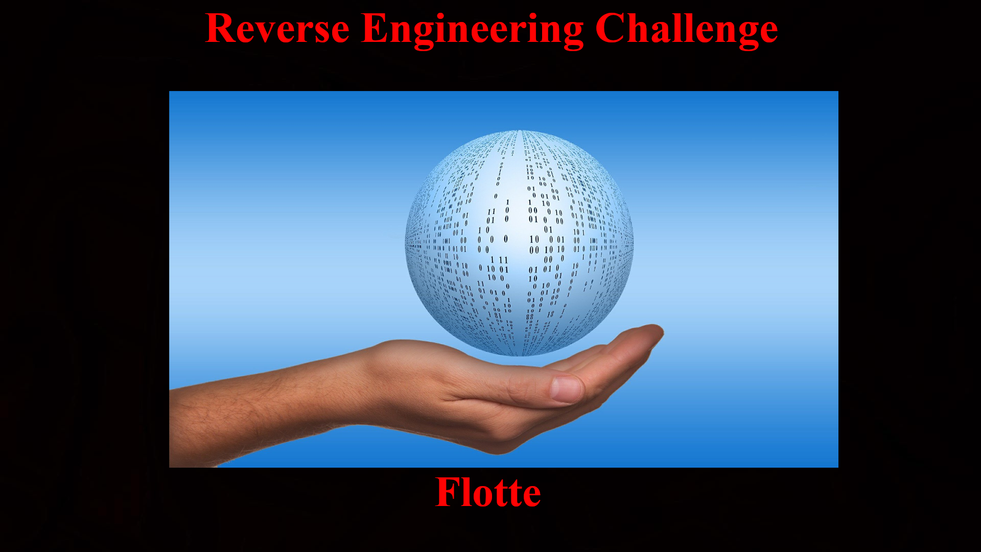 Reverse Engineering Challenge - Flotte